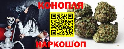 тгк Шебекино