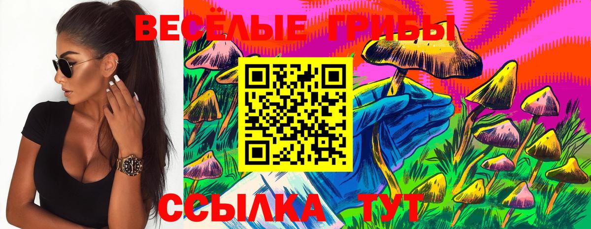Псилоцибиновые грибы MAGIC MUSHROOMS  Вход с VPN  Советск 